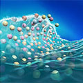 CHEMNANOMAT, Vol. 4, Issue 7 (2018) 表紙