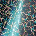 Polymer Chemistry, 13, 20, 4230-4240 (2022) 表紙