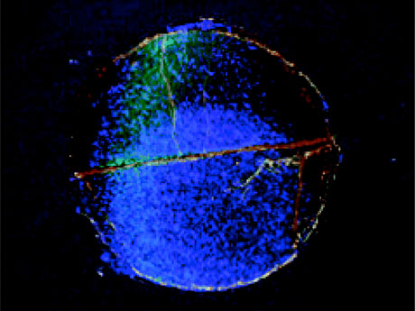 2003_JAmChemSoc