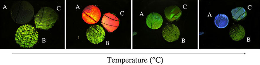2007_Macromolecules