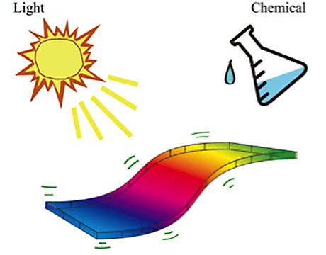 2008_ChemCom