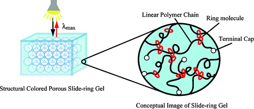 2008_Macromolecules