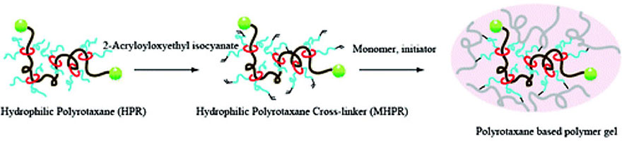 2010_Macromolecules2