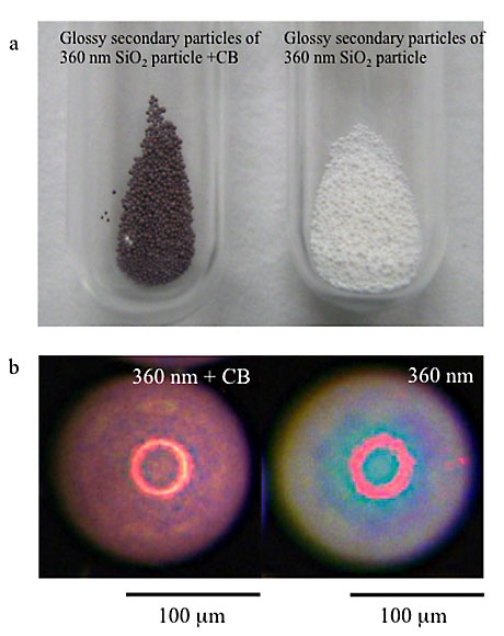 2013_SciRep