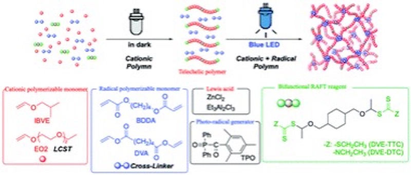 2022_Polymer Chemistry