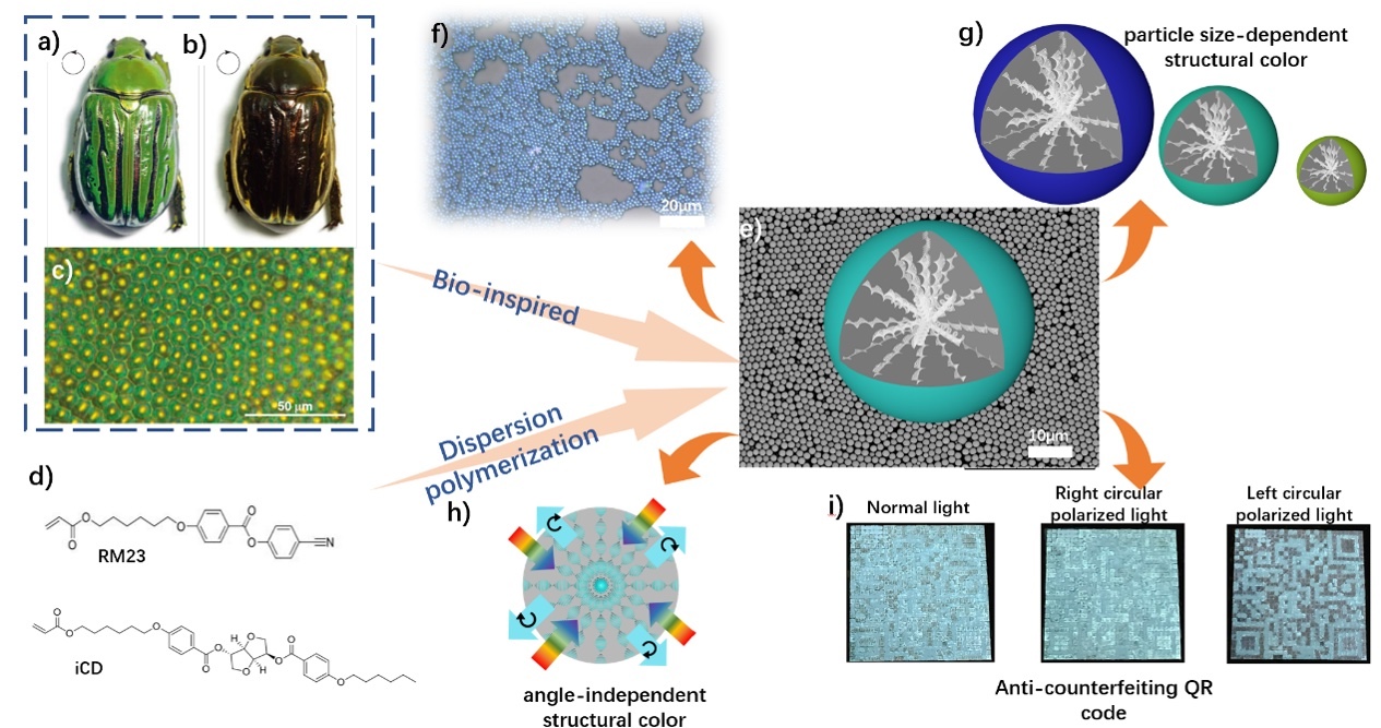 2023_Advanced Optical Materials