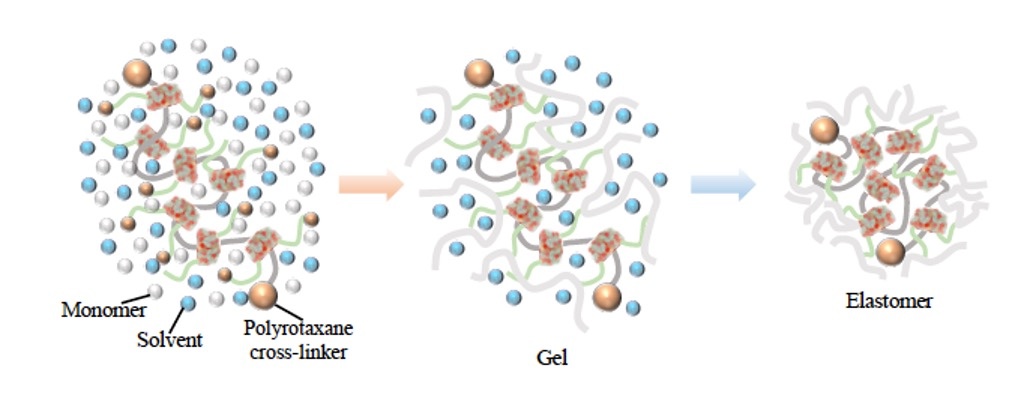 2024_Polymer Journal