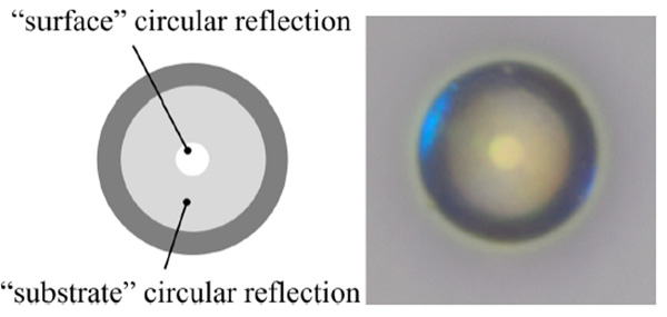 2025_Journal of Colloid and Interface Science