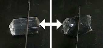 hydrogel