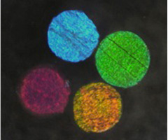 PolymerGel_waveLength-size_pore
