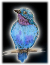 bio-inspired_bird